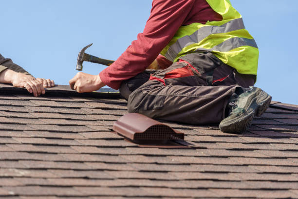 Best New Roof Installation  in Beechwood, MI
