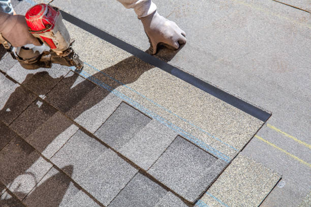 Best Roofing Contractor Near Me  in Beechwood, MI